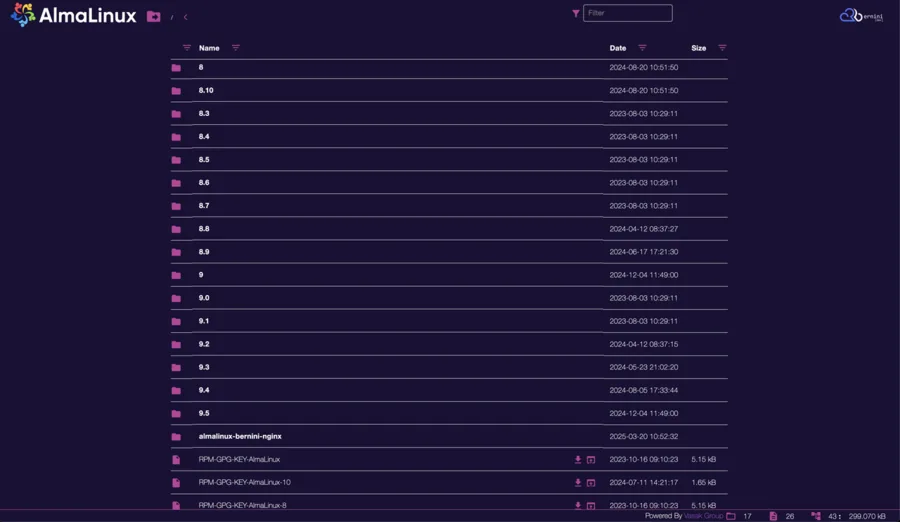 Theme NGINX para Bernini.DEV